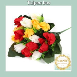Tulpenbos
