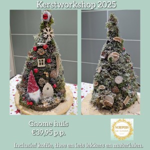 Workshop_kerst_gnomehuis